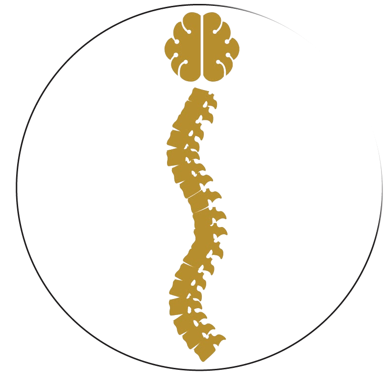 Ergonomics Intelligence India Logo